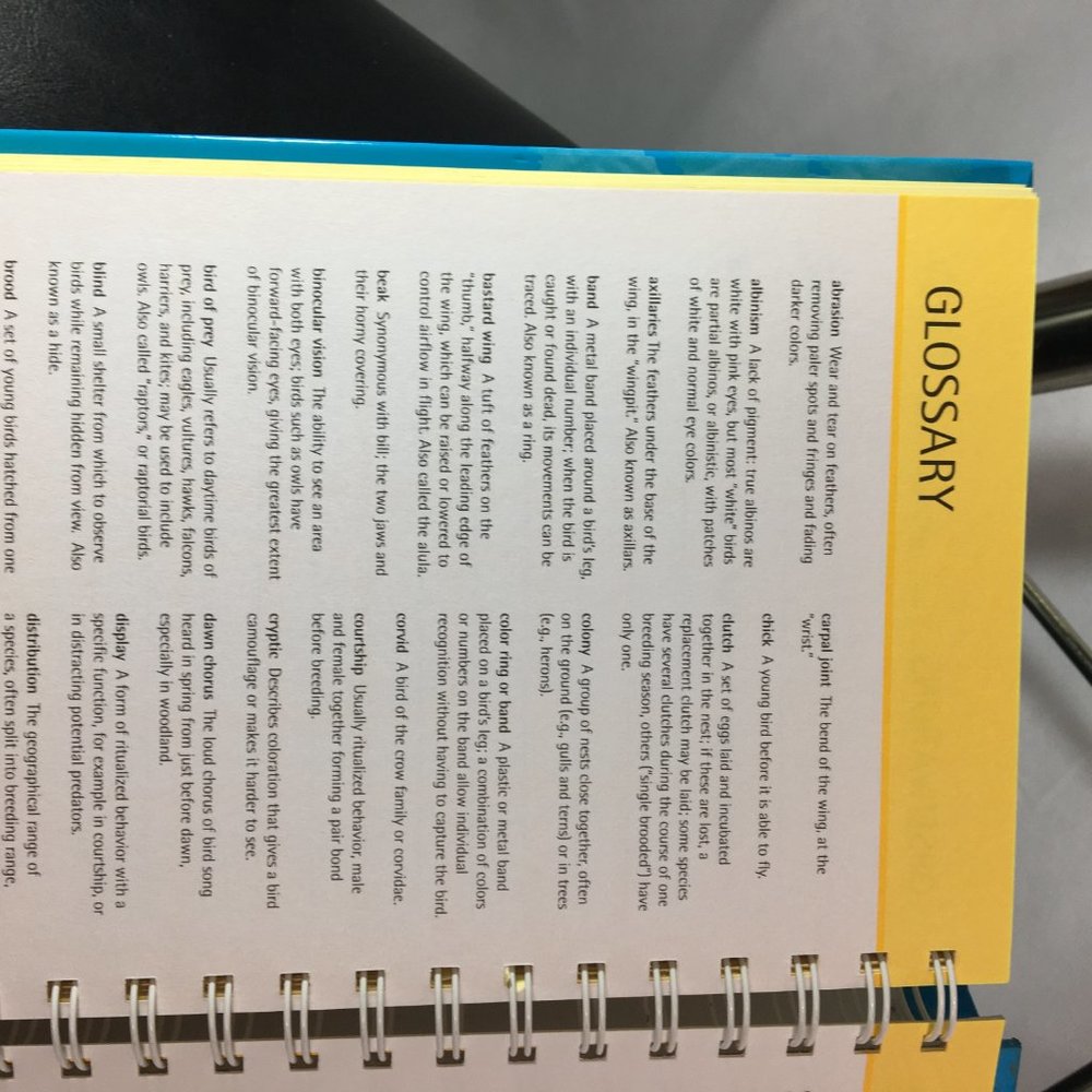 Backyard Bird Tracker : logbook notes illustrated - Picture 11 of 12
